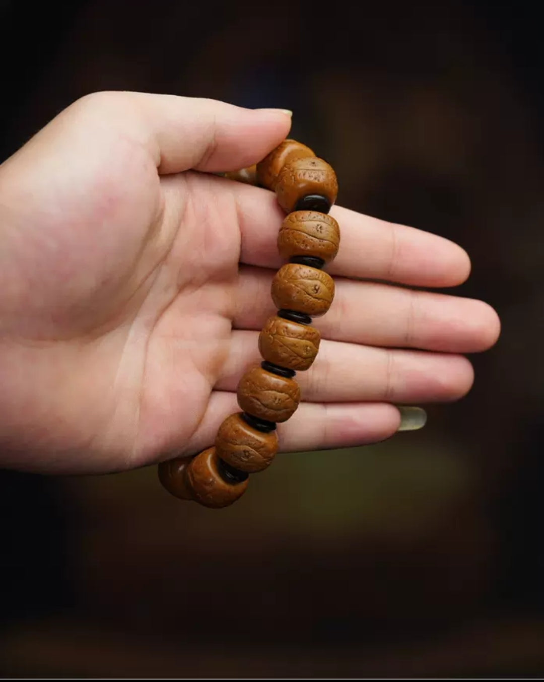 Nepalese Phoenix Eye Bodhi Beads