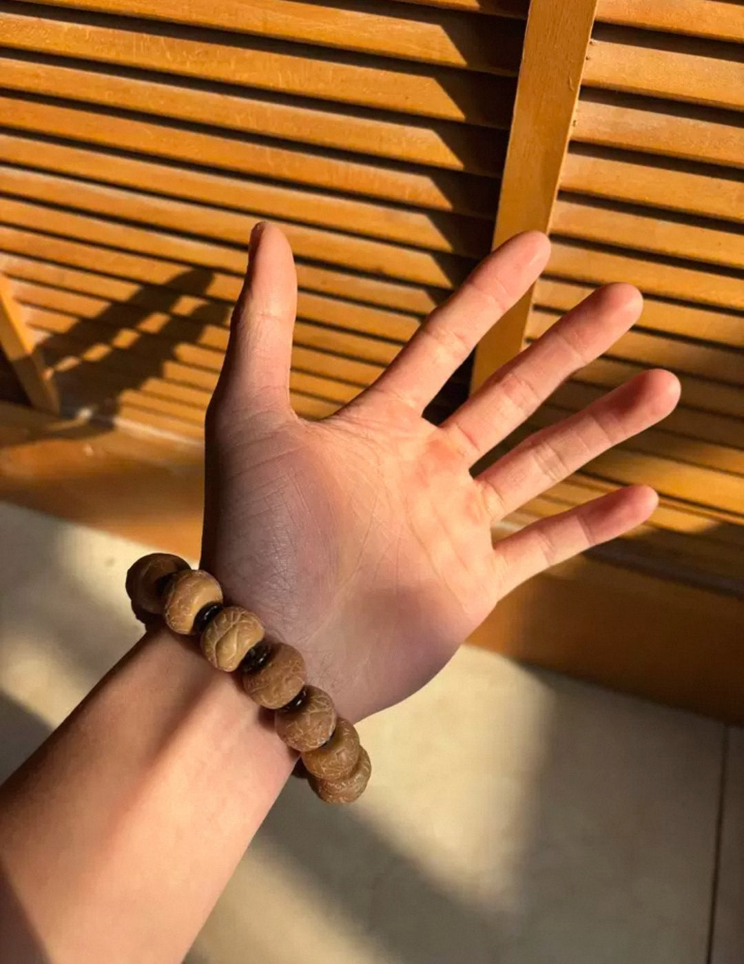 Nepalese Phoenix Eye Bodhi Beads